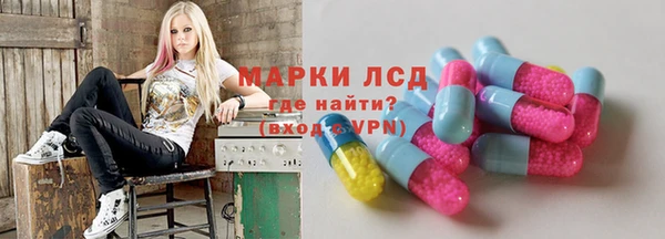 шишки Лабытнанги