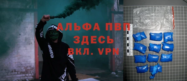 шишки Лабытнанги