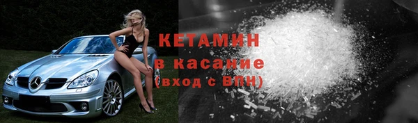 шишки Лабытнанги