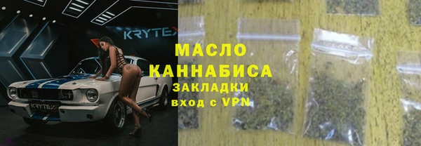 шишки Лабытнанги