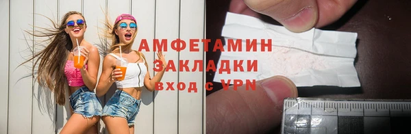 шишки Лабытнанги