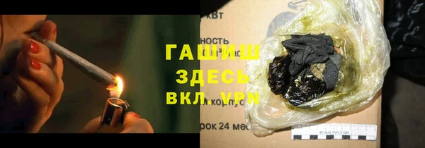 шишки Лабытнанги