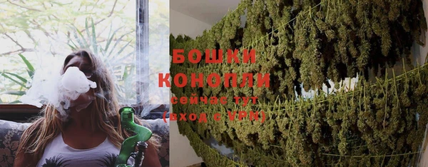 шишки Лабытнанги