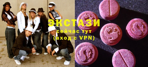 шишки Лабытнанги
