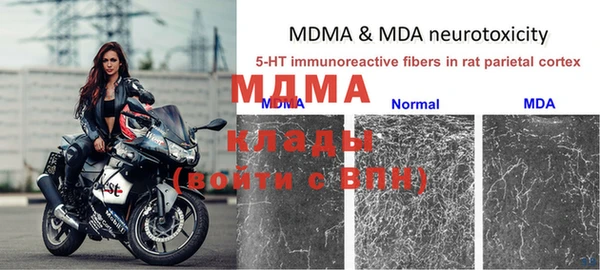 шишки Лабытнанги