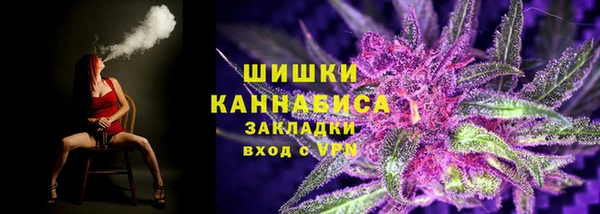 шишки Лабытнанги