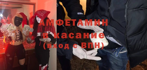 шишки Лабытнанги