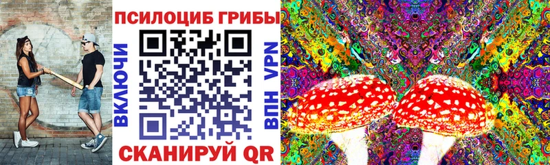 Псилоцибиновые грибы Cubensis  Купить закладки  Лысьва 